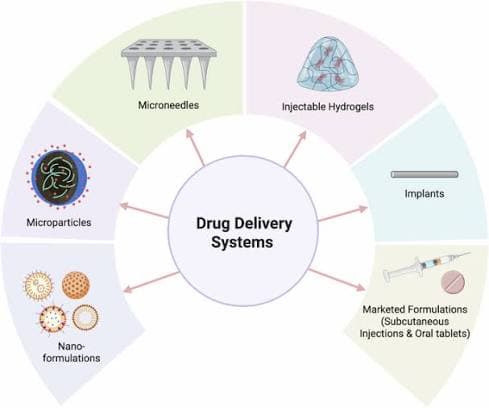 Healthcare Ingredient Demand: GLP-1 Oral Drug Expansion Drives HPMC and Coating Shell Supply Uptick