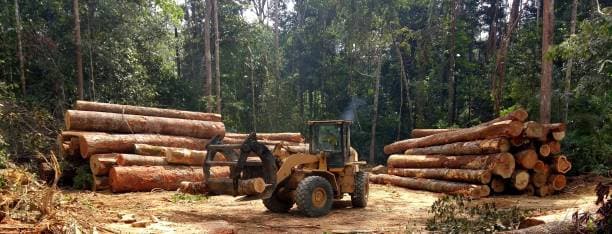 EUDR: Cómo la regulación de la deforestación de la UE está cambiando la documentación de la cadena de suministro de productos químicos