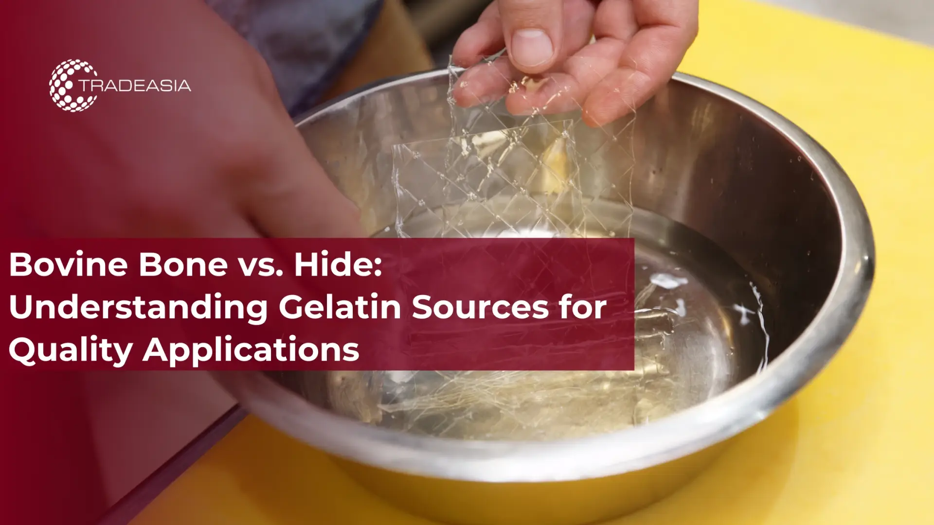 Hueso bovino versus piel: comprender las fuentes de gelatina para aplicaciones de calidad
