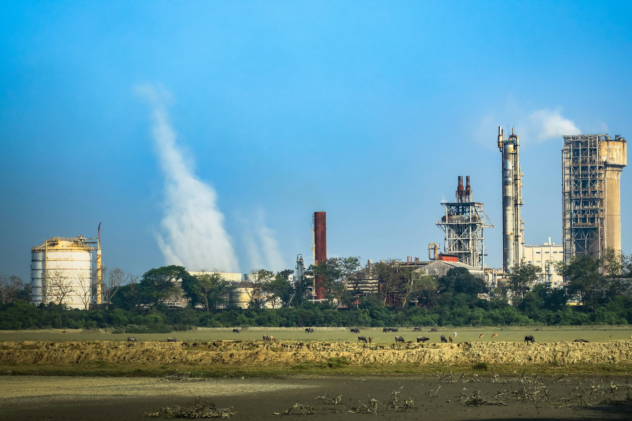 API Shortage Early Warning: Bangladesh Factory Restart as a Proxy Indicator
