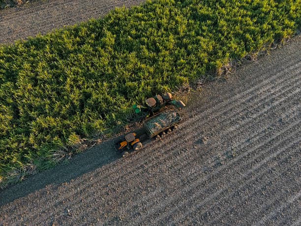 La biorrefinería de caña de azúcar de Brasil: un modelo de etanol renovable y materias primas sostenibles