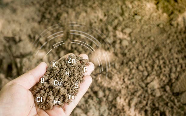 Nueva guía sobre el PFAS de la EPA: impacto en los biosólidos, los fertilizantes y la cadena alimentaria