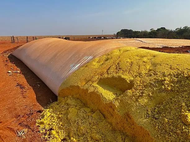 La revisión sobre el amoníaco azul de Woodside tiene una relevancia directa para la planificación de las materias primas para fertilizantes