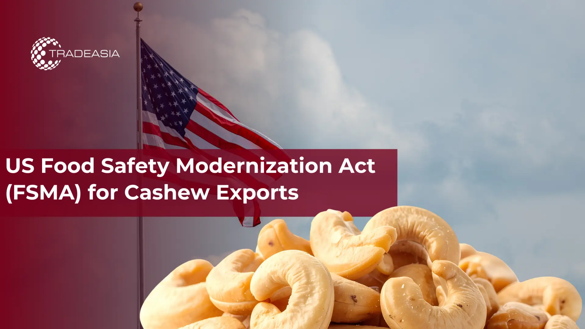 Ley de Modernización de la Seguridad Alimentaria de los Estados Unidos (FSMA) para las exportaciones de anacardos