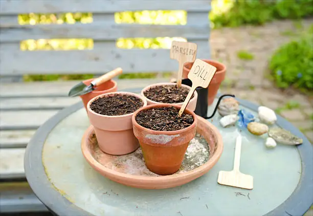 Upcycled Botanicals Enter Specialty Chemistry: The Sea‑Buckthorn Peptide Case